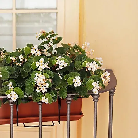 Sanchez Pastor Freshapartments Malaga Zewnętrze zdjęcie